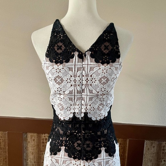 NWT: Dress the Population White and Black Lace Dress - Picture 8 of 12